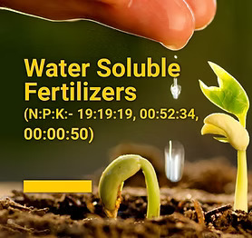 Water Soluble Fertilizers